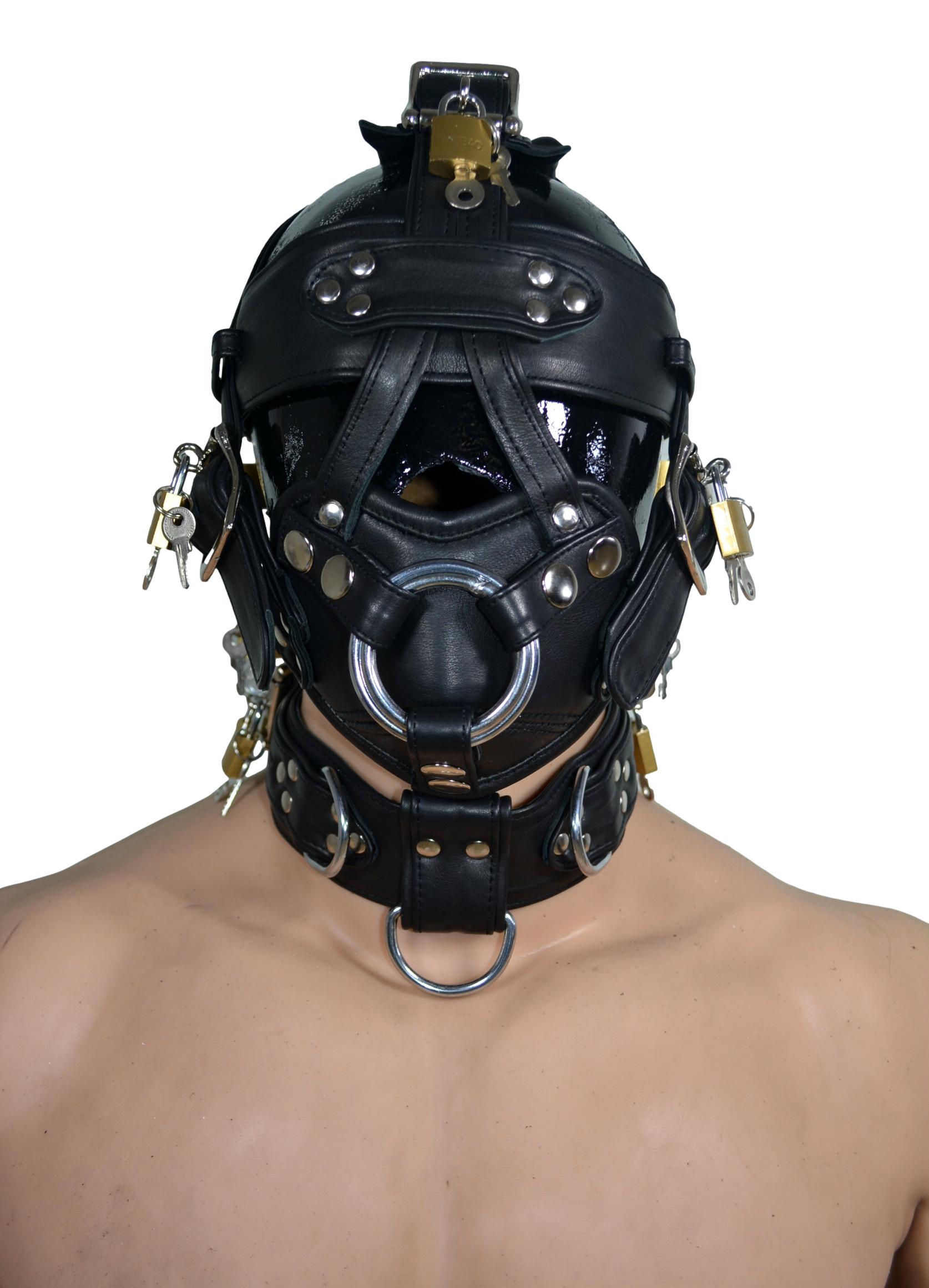 Leather Muzzle head harness