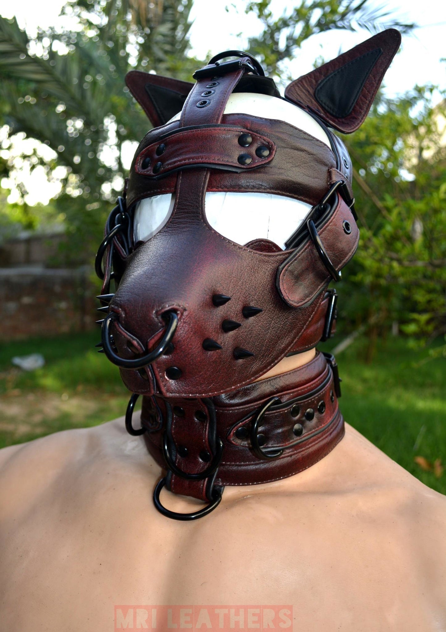 Black leather dog muzzle hood with spikes and brass hardware, adjustable fit, BDSM mask.