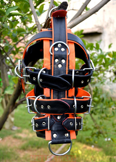Leather Gear Face hood fetish Slave extreme Bondage Muzzle Gag with D rings Muzzle Face Restraints Head Harness - MRI Leathers