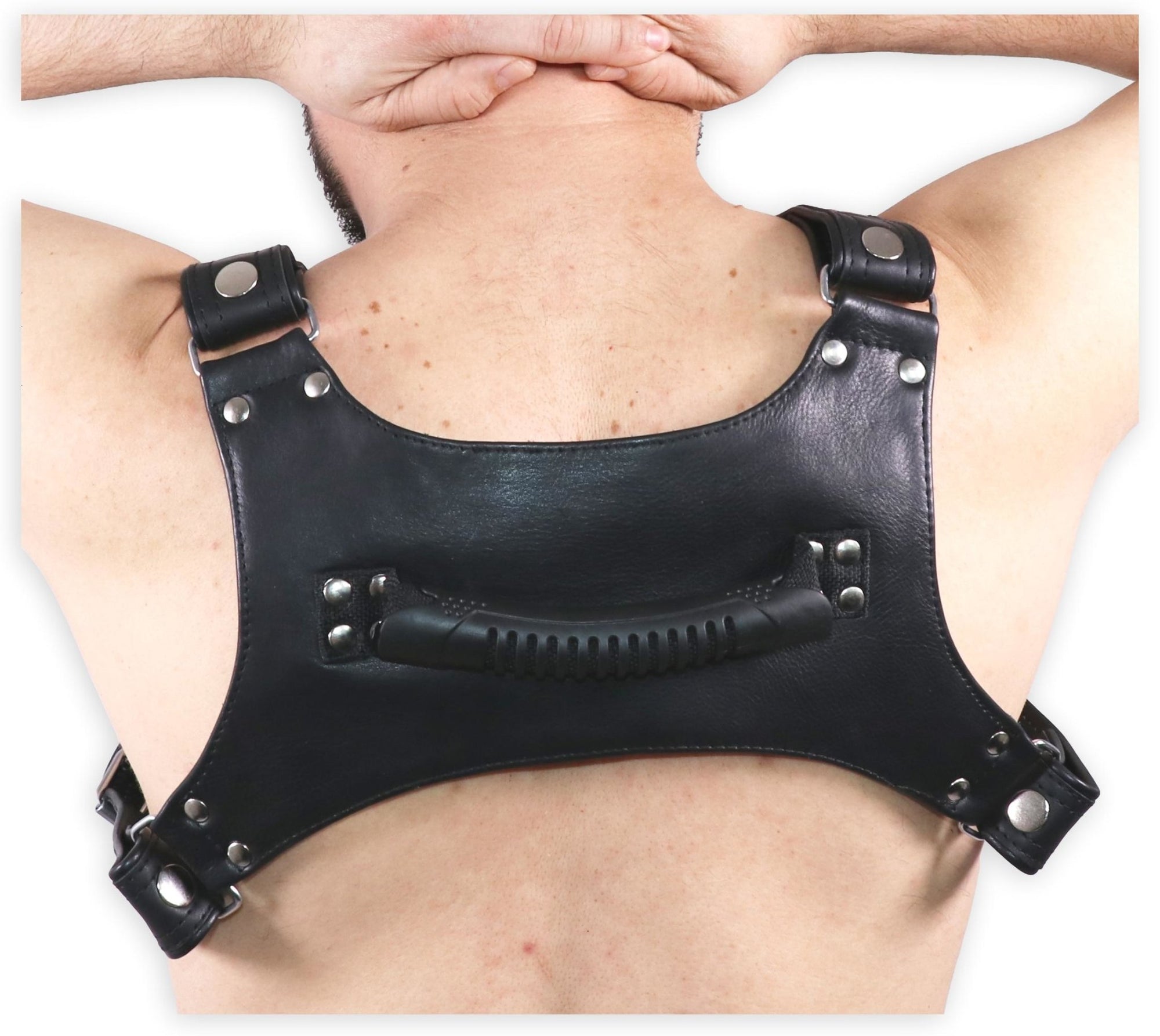 Leather Handler Harness Body Chest Bulldog harness - MRI Leathers