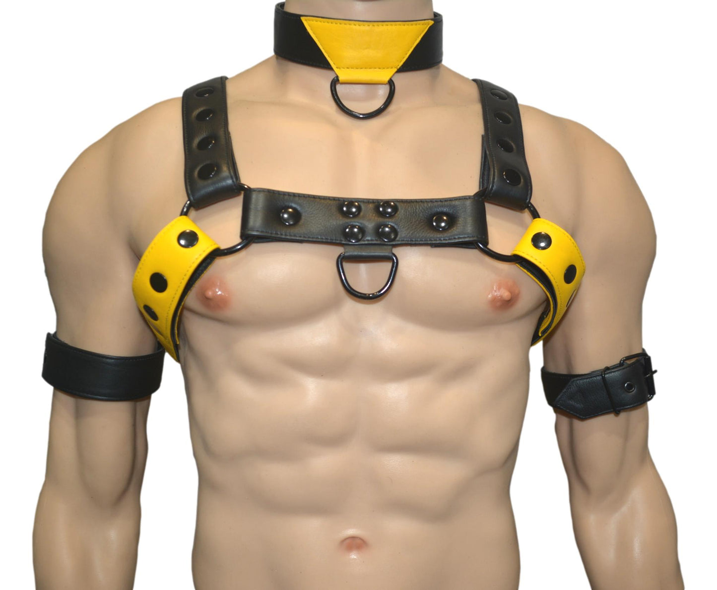 Leather Harness Body Chest Bulldog harness - MRI Leathers