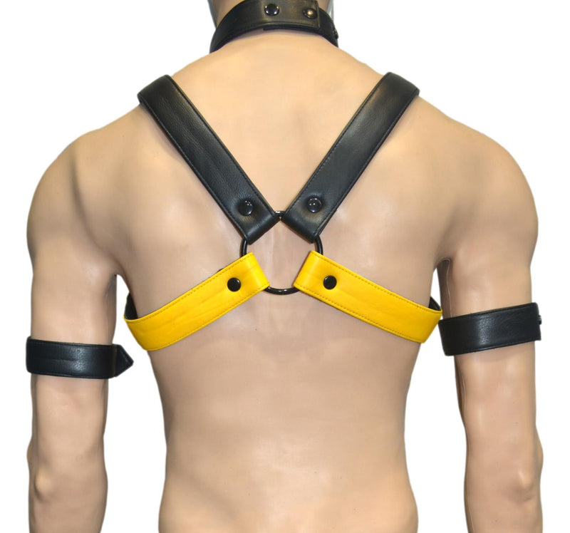 Leather Harness Body Chest Bulldog harness - MRI Leathers