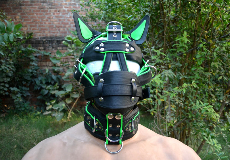 Leather mask, leather dog mask, Head Harness with mouth gag,leather Hood - MRI Leathers