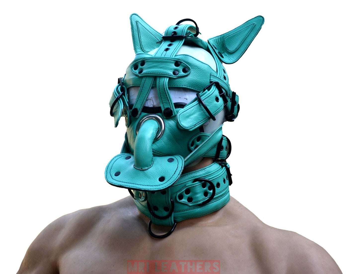 Leather Padded Head Harness Muzzle basic Fetish BDSM Slave Mature gag - MRI Leathers