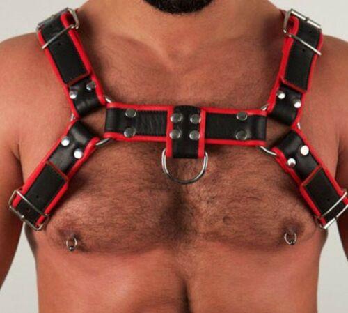 bulldog extreme harness