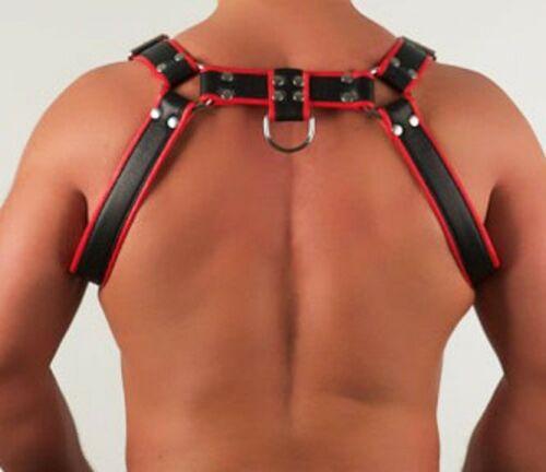 bulldog extreme harness