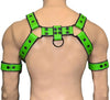 Mens Leather Harness Body Chest Bulldog harness - MRI Leathers