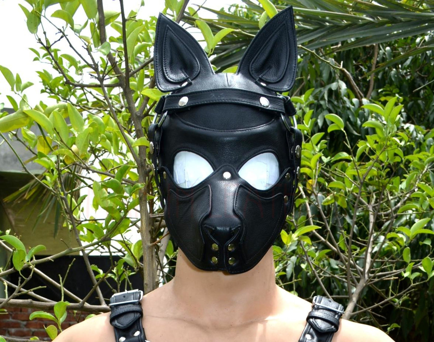 Leather Puppy Mask Head Harness with adjustable straps for cosplay and BDSM use.