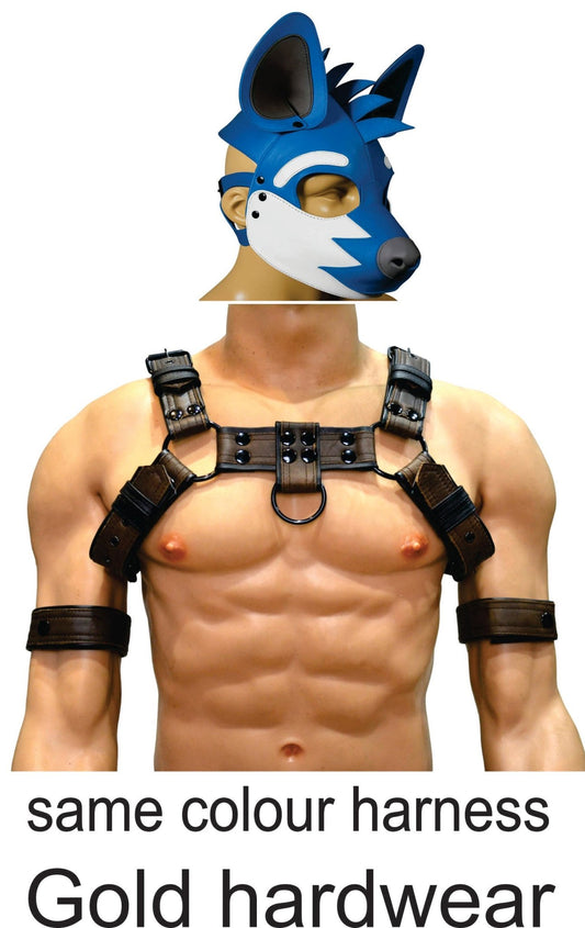 Blue Leather Puppy Hood with Matching Harness – Gold Hardware - MRI Leathers