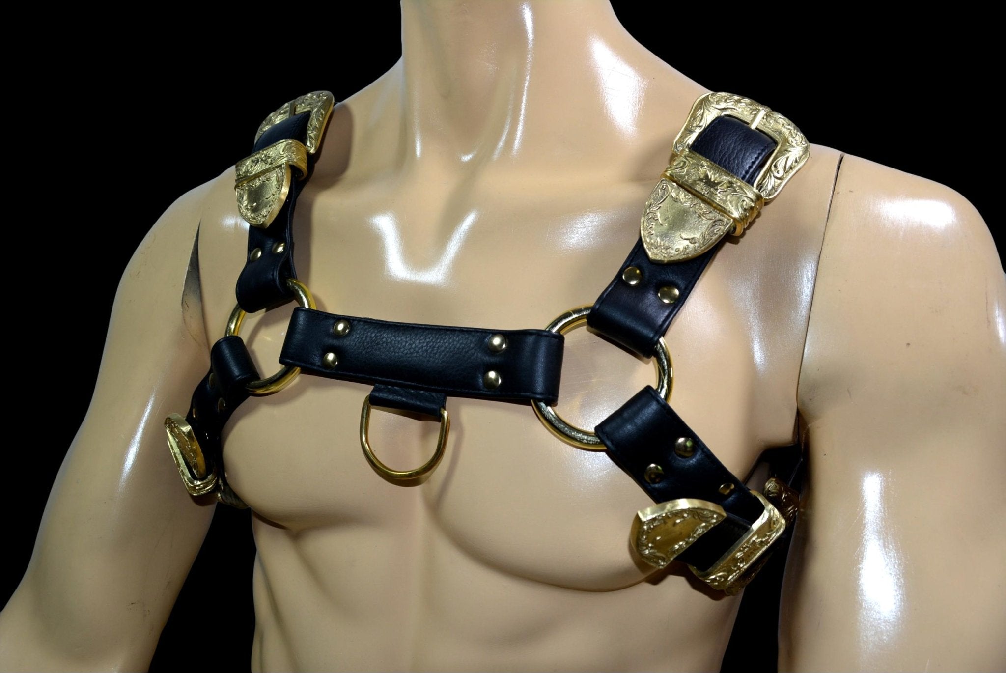 Aries Leather Harness - One Size - Black main image 1