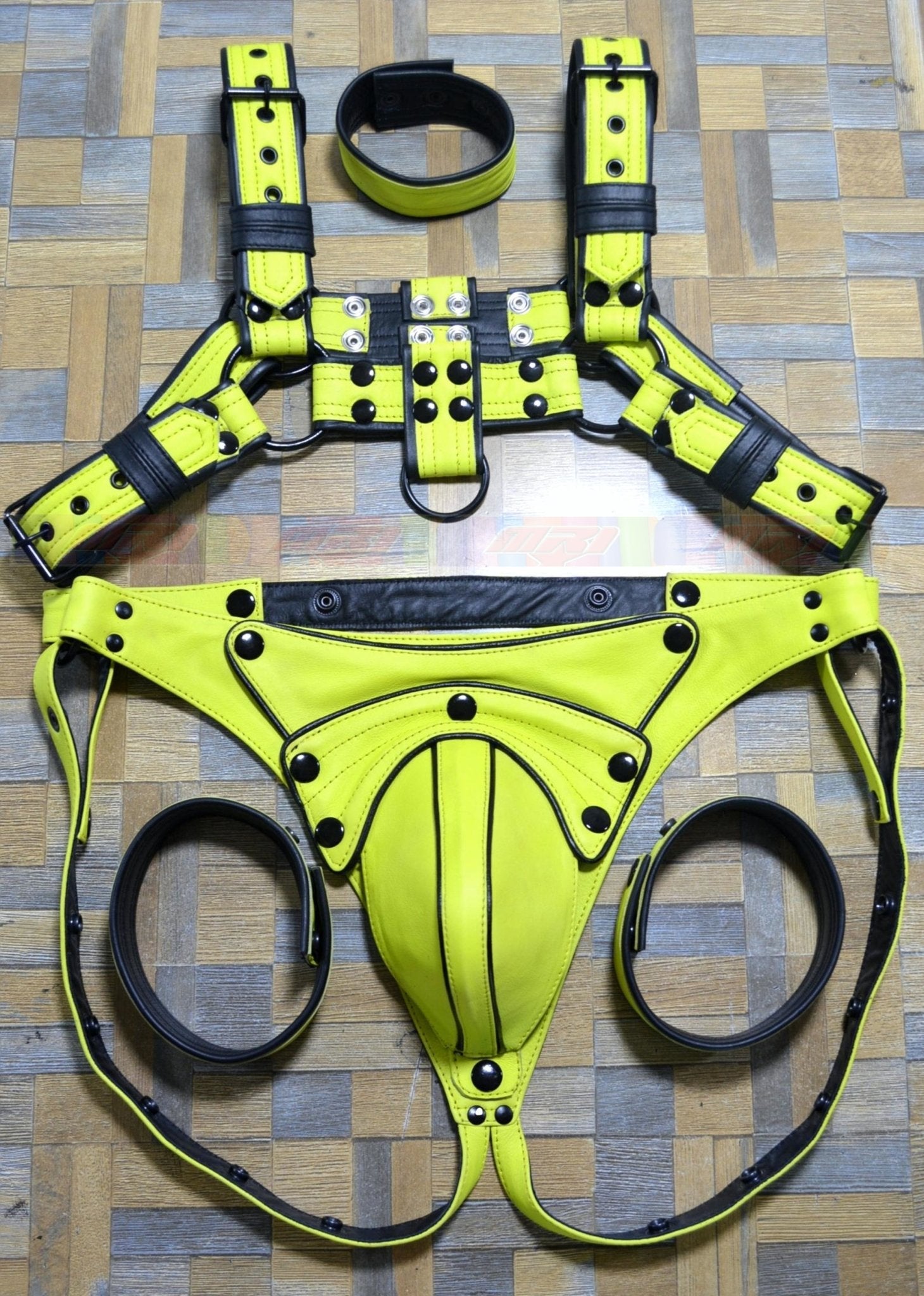 Men's leather harness with adjustable buckles and stainless steel hardware.