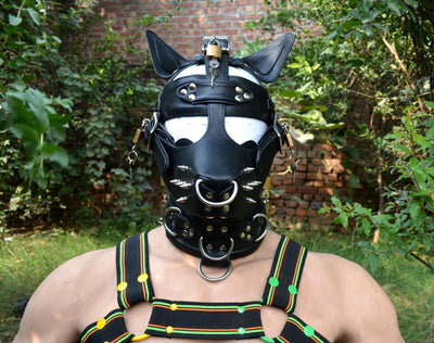 Leather mask,Locking buckles,dog hood, pet play hood, puppy mask head harness muzzle - MRI Leathers