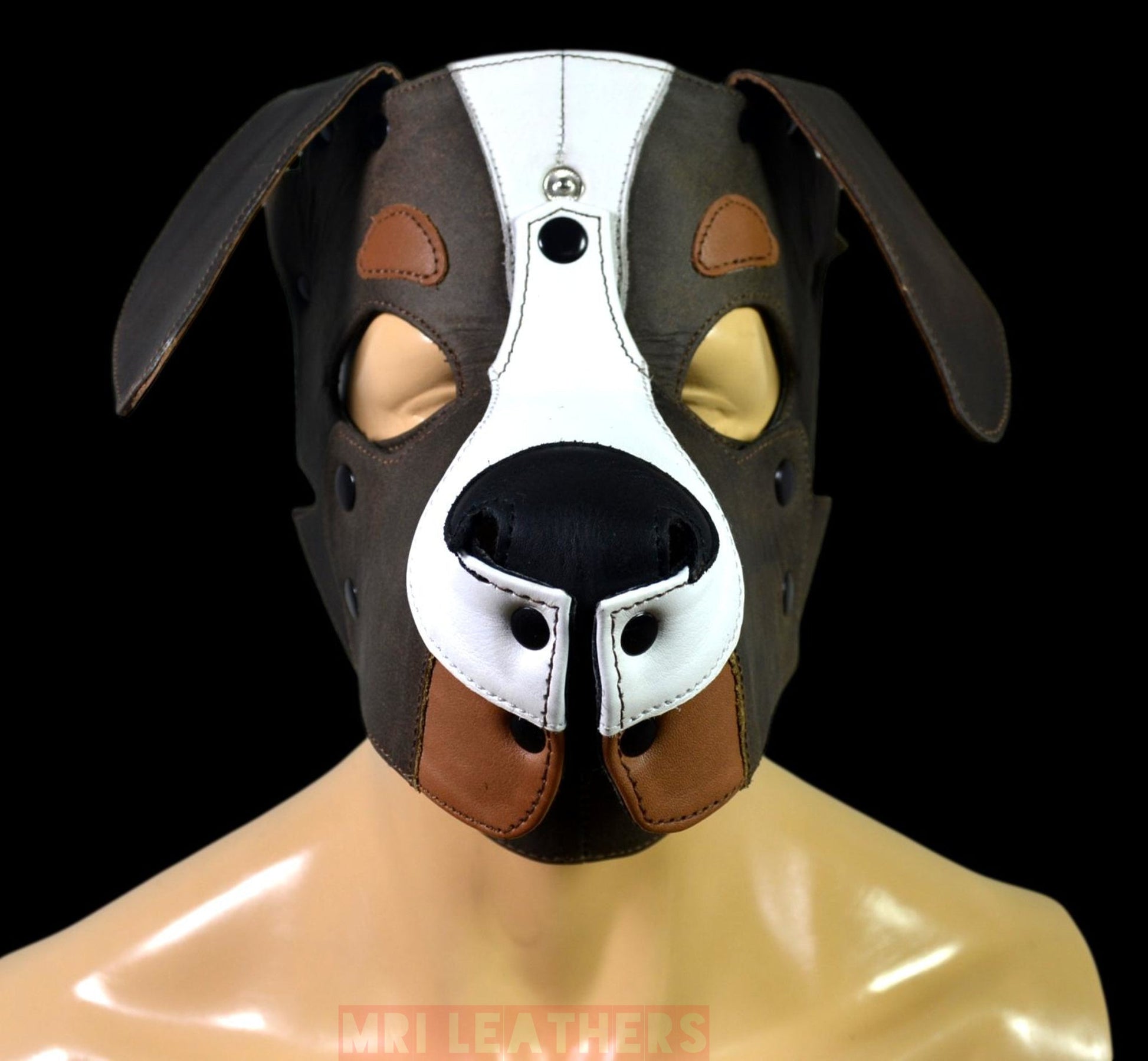 Leather Puppy Mask Hood removable muzzle Border Collie Dog - MRI Leathers