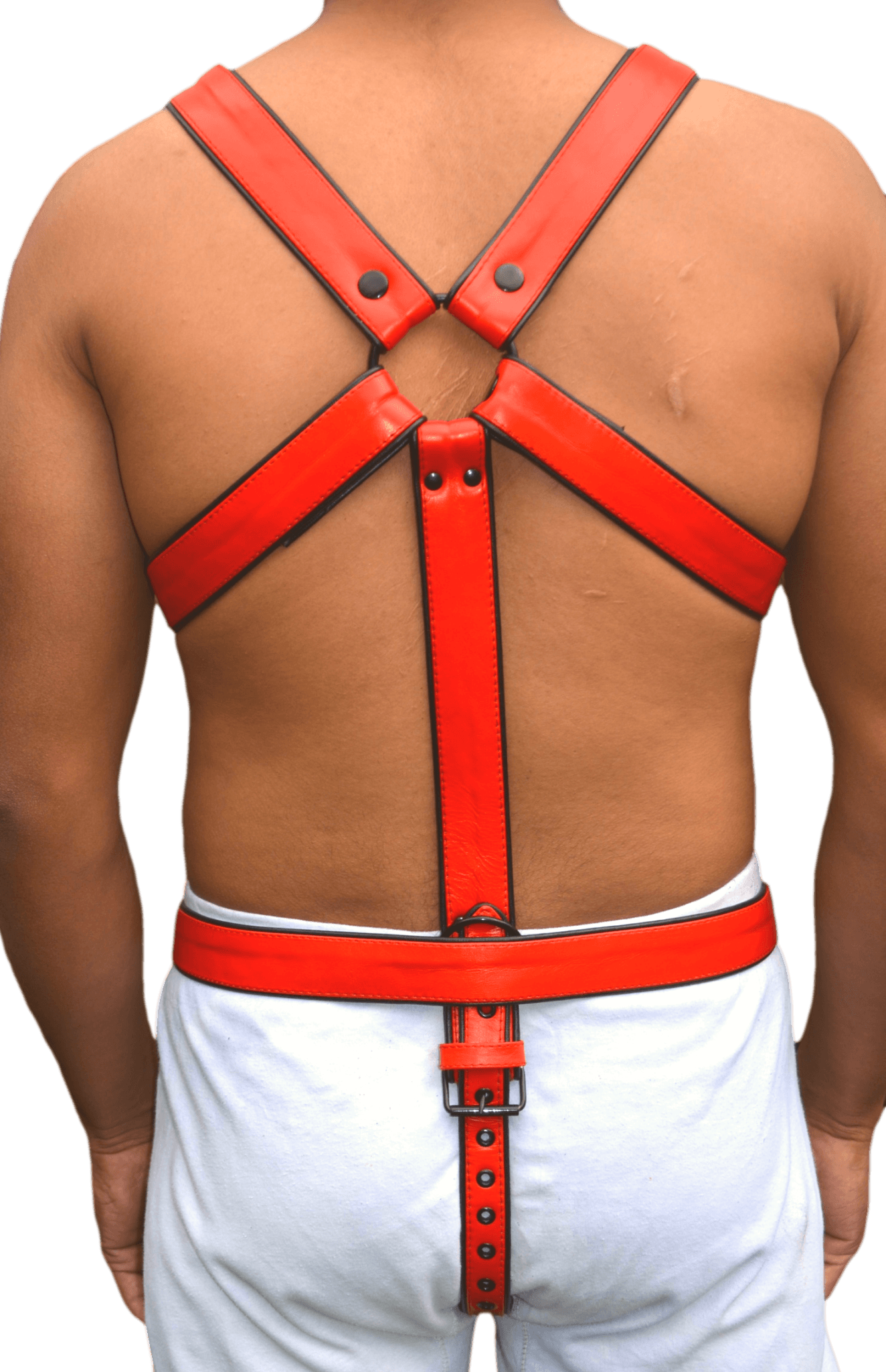Men's leather chest harness with adjustable straps, chrome leather and stainless steel hardware, showcasing back view.