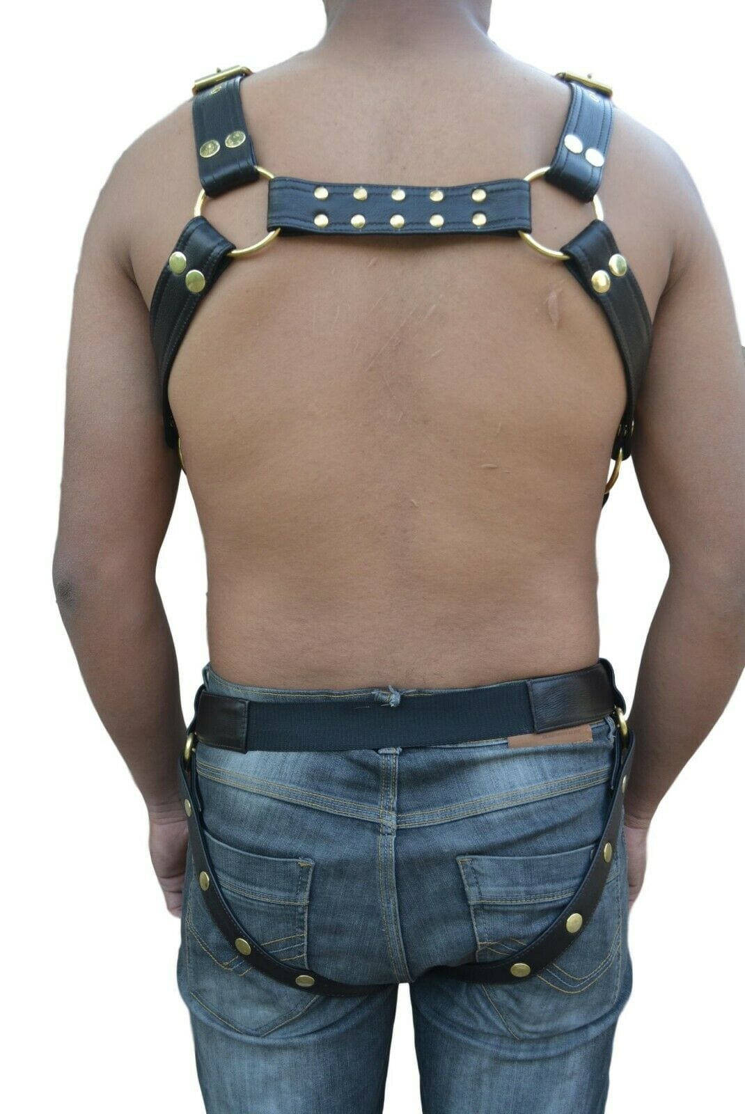 strong top quality harness makes