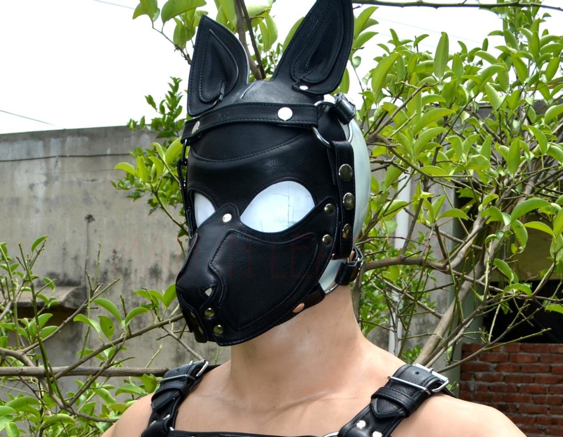 Leather puppy mask and head harness with adjustable straps.